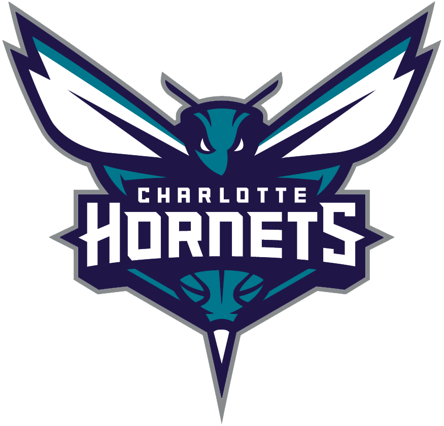 Charlotte Hornets T shirt DIY iron-ons